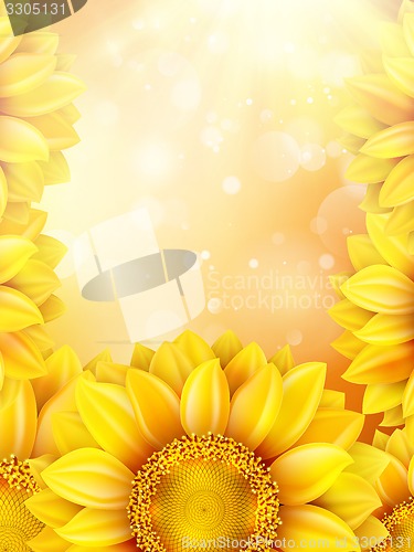 Image of Macro SunFlower Background. EPS 10