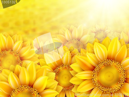 Image of Sunflower petals with summer sun. EPS 10