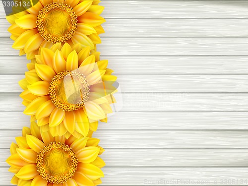 Image of Sunflowers on wooden background. EPS 10