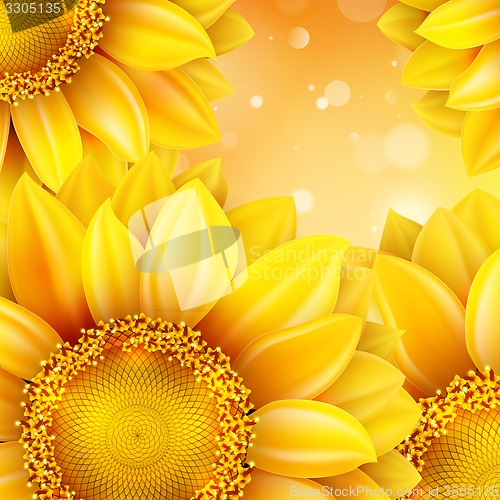 Image of Macro SunFlower Background. EPS 10