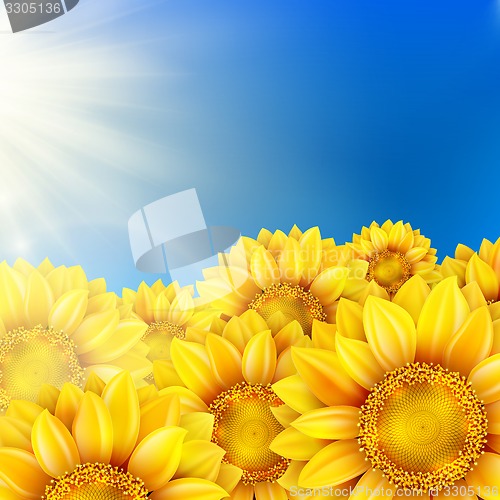 Image of Sunflowers with bright blue sky. EPS 10
