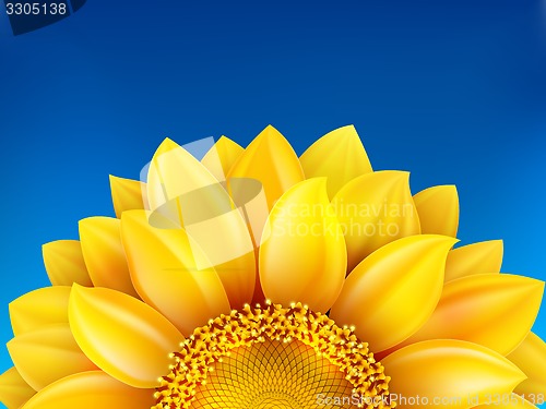 Image of Sunflower and blue sky background. EPS 10
