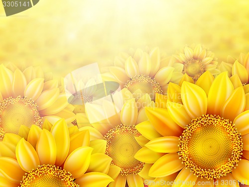 Image of Sunflower petals with summer sun. EPS 10