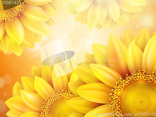Image of Macro SunFlower Background. EPS 10