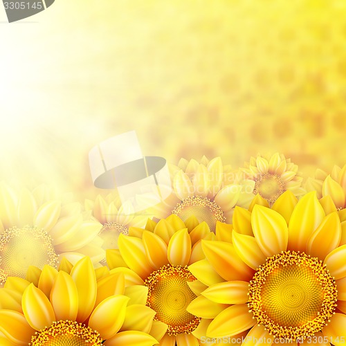 Image of Sunflower petals with summer sun. EPS 10