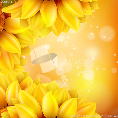 Image of Macro SunFlower Background. EPS 10