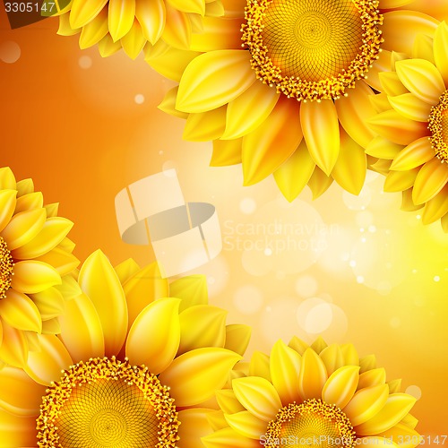 Image of Macro SunFlower Background. EPS 10