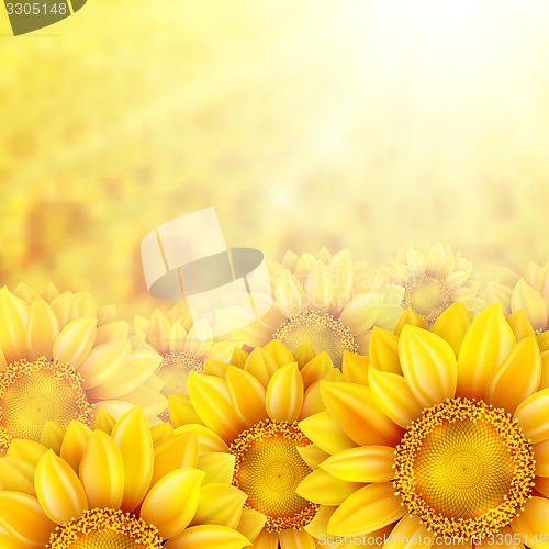 Image of Sunflower petals with summer sun. EPS 10