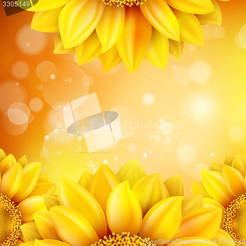 Image of Macro SunFlower Background. EPS 10