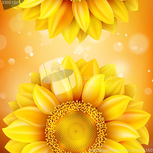 Image of Macro SunFlower Background. EPS 10