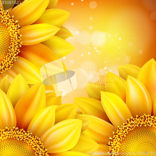 Image of Macro SunFlower Background. EPS 10