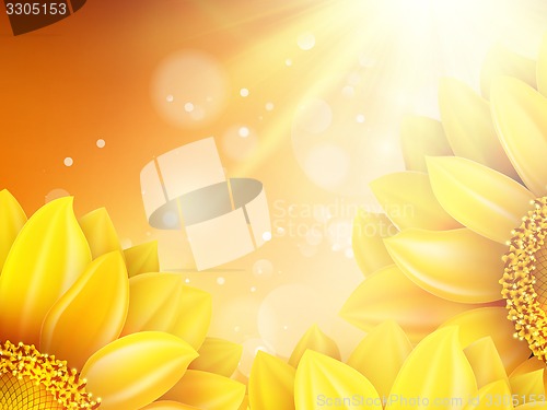 Image of Macro SunFlower Background. EPS 10