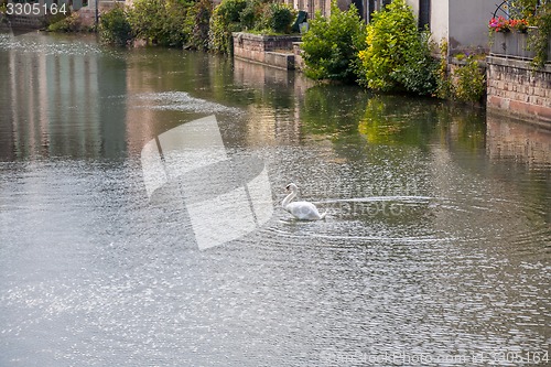 Image of Strasbourg, water canal in Petite France area