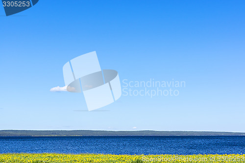Image of Idyllic lake landscape