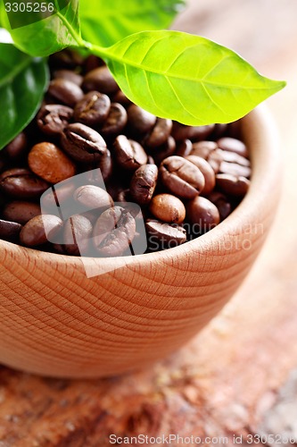 Image of coffee beans