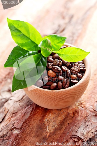 Image of coffee beans