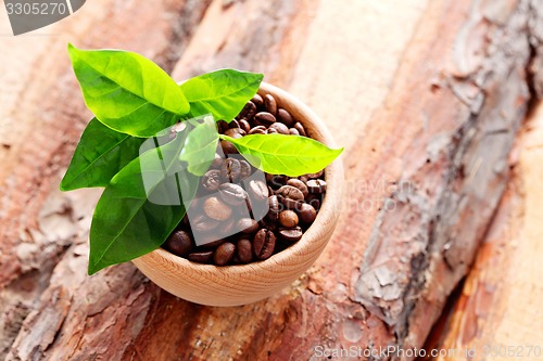 Image of coffee beans