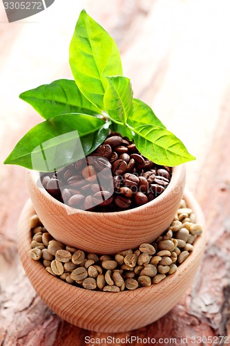 Image of coffee beans