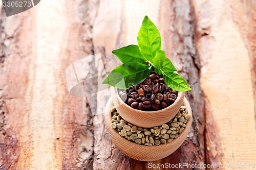 Image of coffee beans