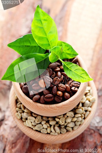 Image of coffee beans