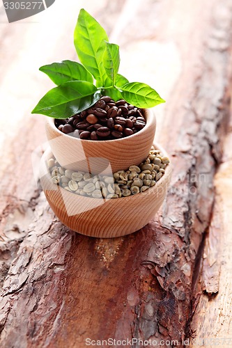 Image of coffee beans