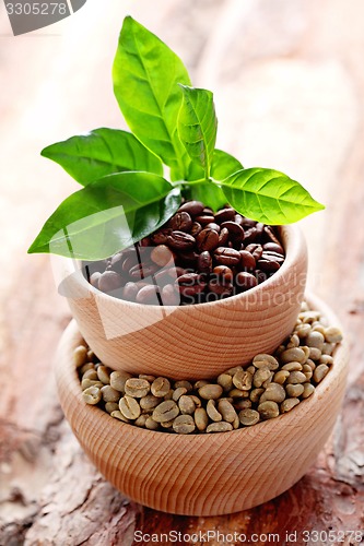 Image of coffee beans