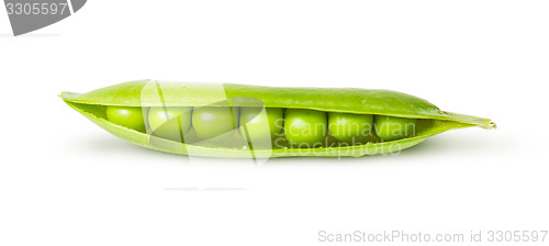 Image of Opened pea pod green sugar