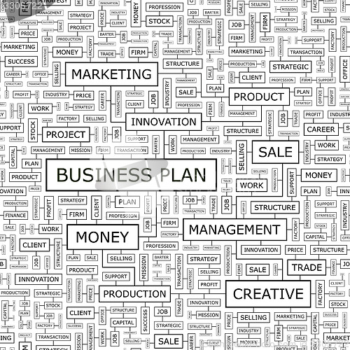 Image of BUSINESS PLAN