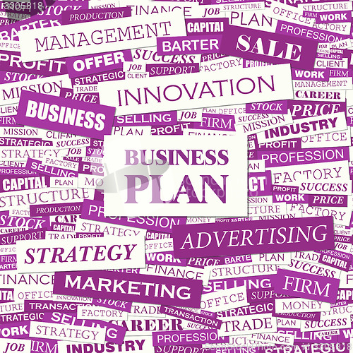 Image of BUSINESS PLAN