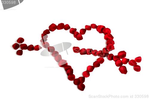 Image of Petals heart
