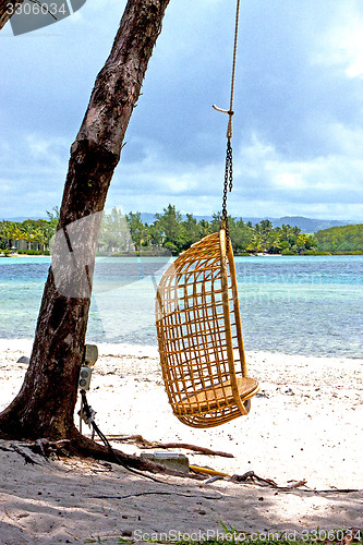 Image of lagoon  beach seaweed in seat osier 