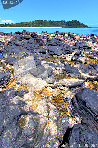 Image of andilana beach seaweed in   and rock