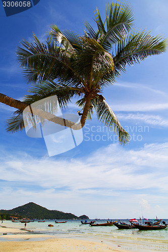 Image of sun ligt asia in the  kho tao bay isle white     and south   