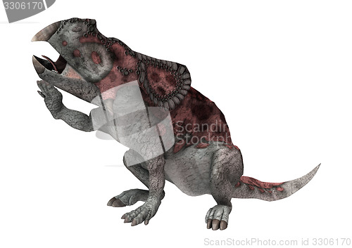 Image of Dinosaur Protoceratops