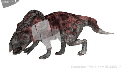 Image of Dinosaur Protoceratops