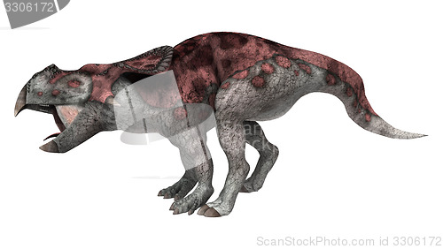 Image of Dinosaur Protoceratops 