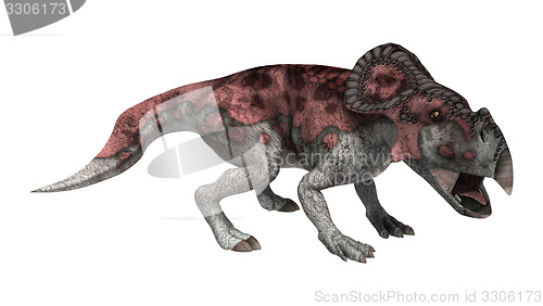 Image of Dinosaur Protoceratops