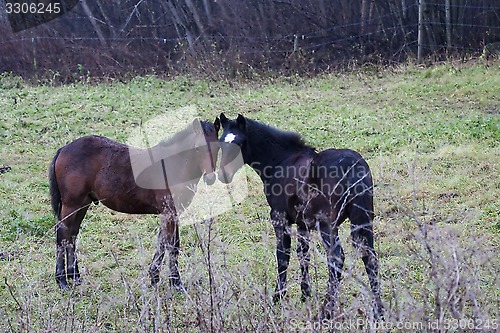 Image of friends