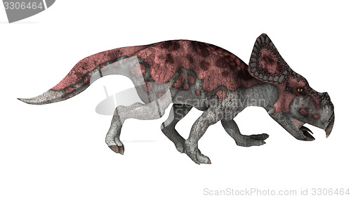 Image of Dinosaur Protoceratops