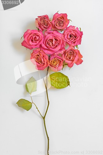 Image of Bouquet of dried roses