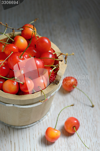 Image of Sweet Cherries in Bucket