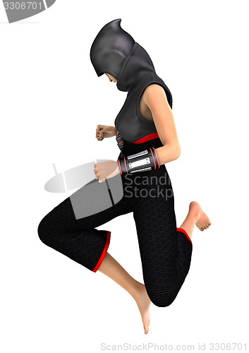 Image of Ninja