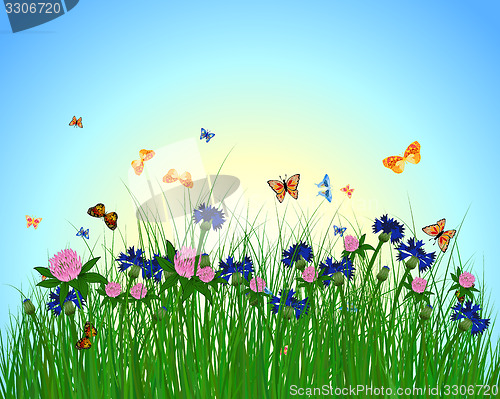 Image of Meadow color