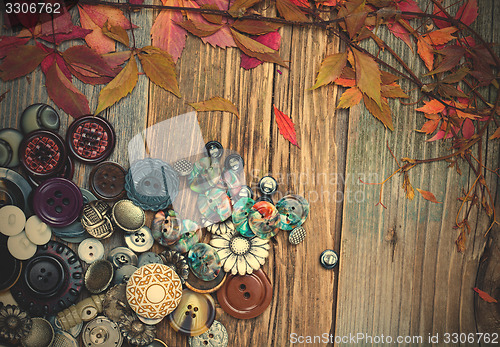 Image of vintage buttons and dried plants