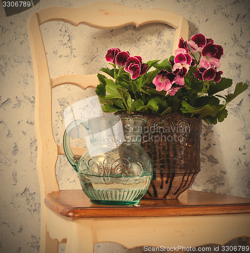 Image of geranium and a jug with water