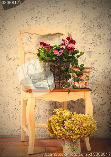 Image of pelargonium, fuchsia and hydrangea