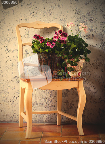 Image of pelargonium and fuchsia