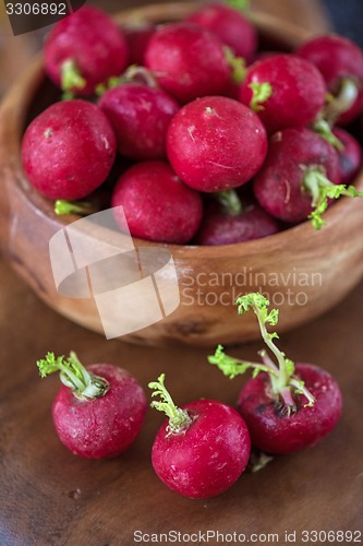 Image of harvest of ripe radish.