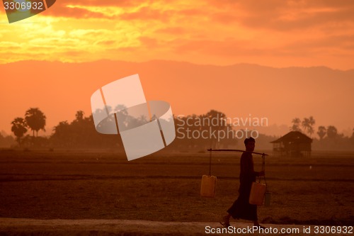 Image of ASIA MYANMAR MYEIK AGRACULTURE