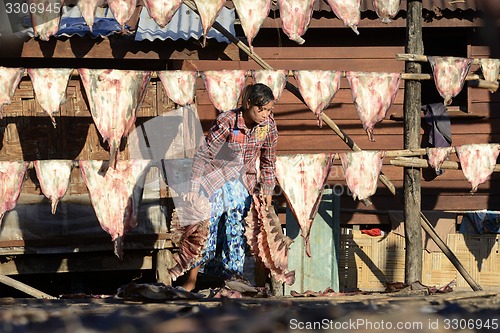 Image of ASIA MYANMAR MYEIK DRY FISH PRODUCTION